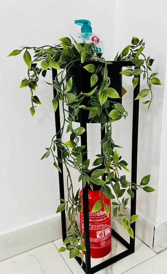 수체아바 Altheda Living White House 29F-2 아파트 외부 사진